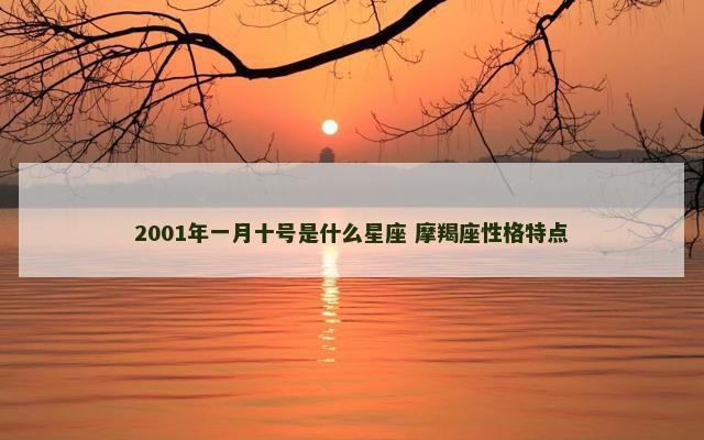 2001年一月十号是什么星座 摩羯座性格特点