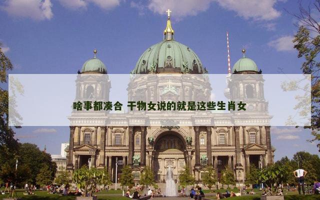 啥事都凑合 干物女说的就是这些生肖女