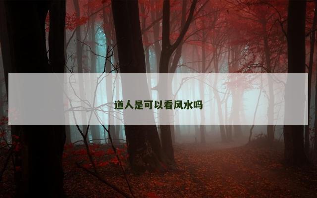 道人是可以看风水吗