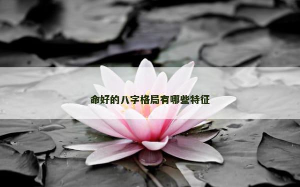 命好的八字格局有哪些特征