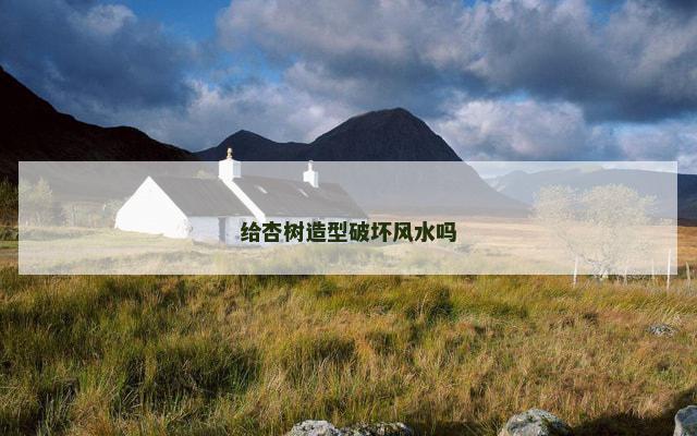给杏树造型破坏风水吗