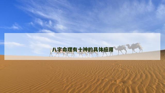 八字命理有十神的具体应用