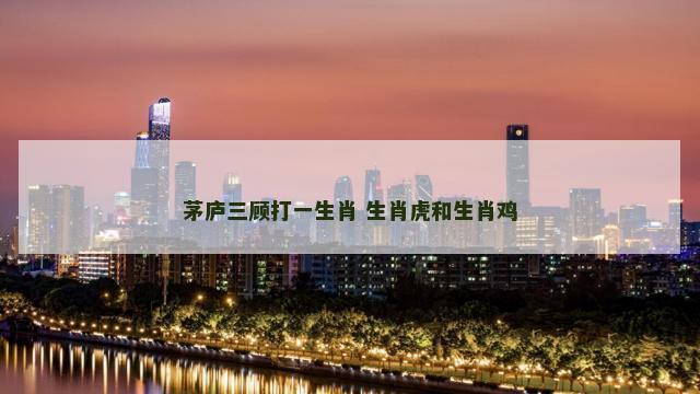 茅庐三顾打一生肖 生肖虎和生肖鸡