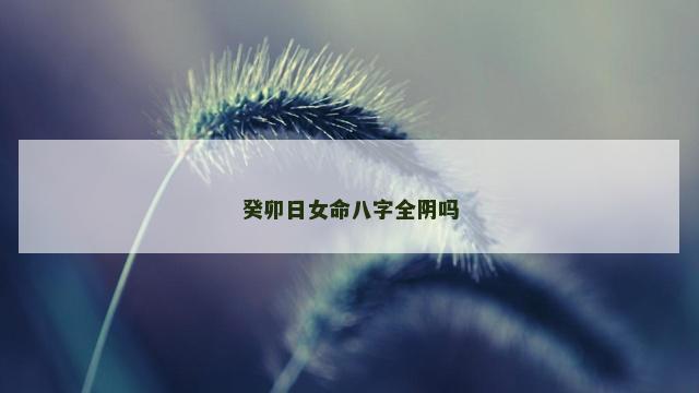 癸卯日女命八字全阴吗
