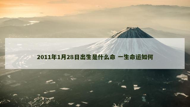 2011年1月28日出生是什么命 一生命运如何