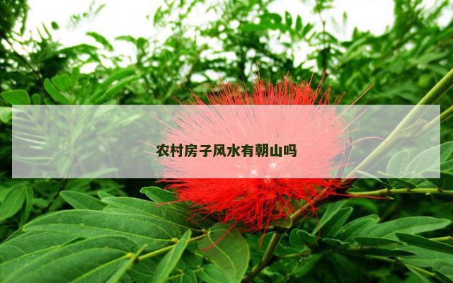 农村房子风水有朝山吗