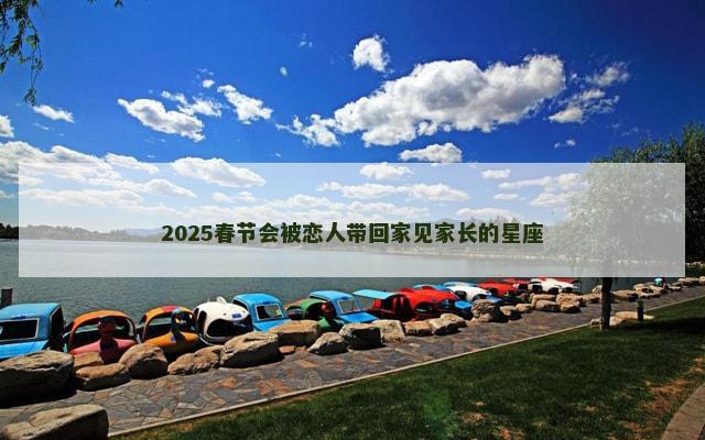 2025春节会被恋人带回家见家长的星座