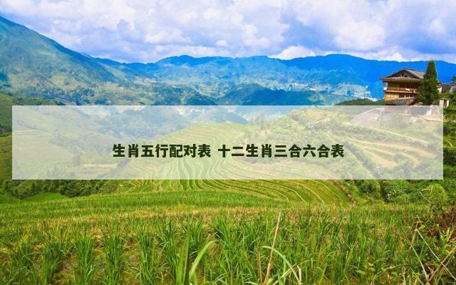 生肖五行配对表 十二生肖三合六合表