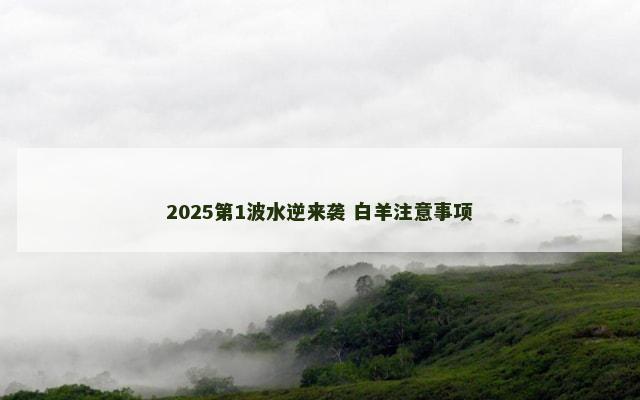 2025第1波水逆来袭 白羊注意事项
