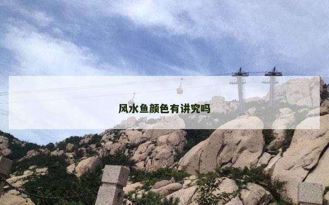 风水鱼颜色有讲究吗