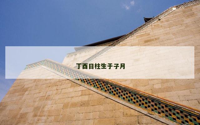 丁酉日柱生于子月