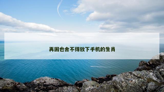 再困也舍不得放下手机的生肖