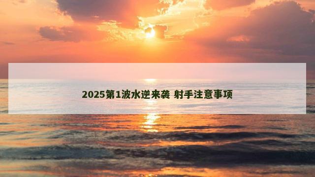 2025第1波水逆来袭 射手注意事项