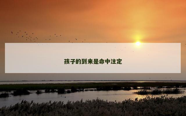 孩子的到来是命中注定