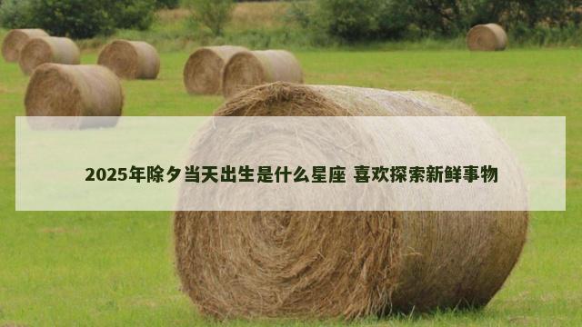 2025年除夕当天出生是什么星座 喜欢探索新鲜事物