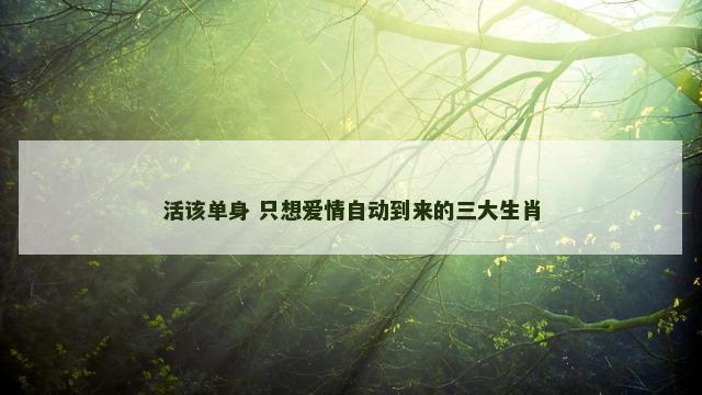 活该单身 只想爱情自动到来的三大生肖