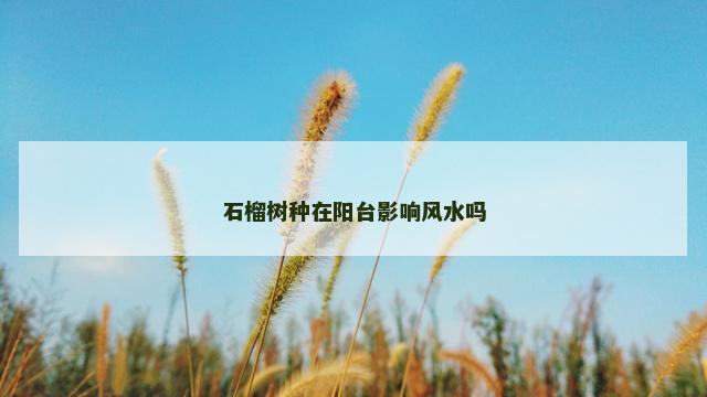 石榴树种在阳台影响风水吗