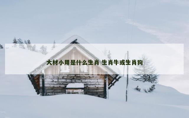 大材小用是什么生肖 生肖牛或生肖狗