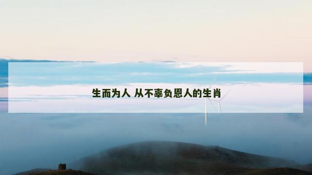 生而为人 从不辜负恩人的生肖