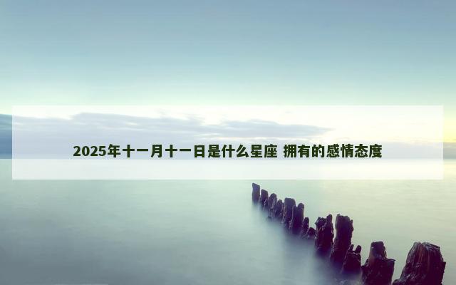 2025年十一月十一日是什么星座 拥有的感情态度
