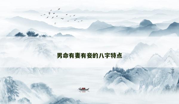 男命有妻有妾的八字特点