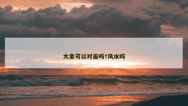 大象可以对面吗?风水吗