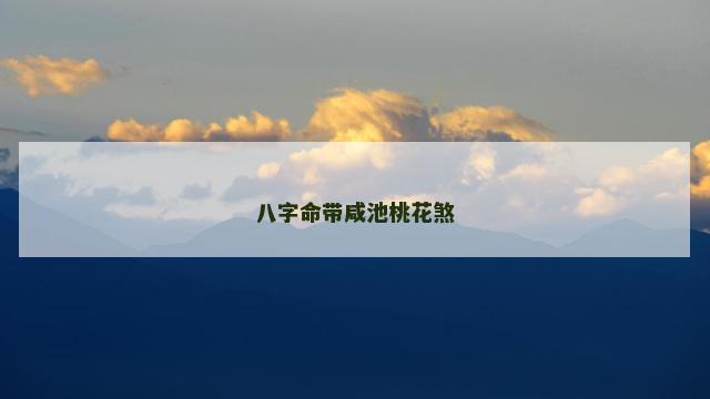 八字命带咸池桃花煞