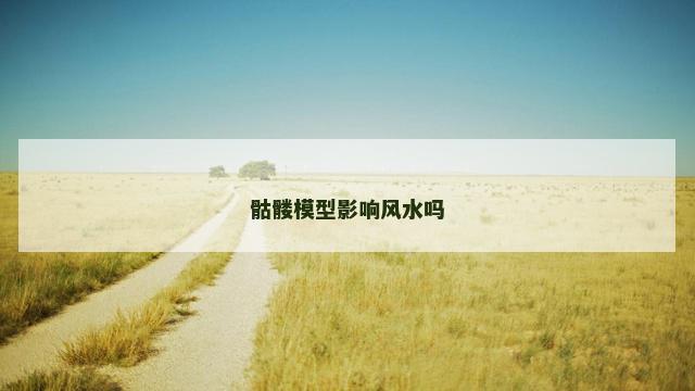 骷髅模型影响风水吗