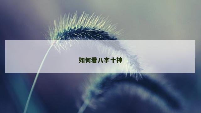 如何看八字十神