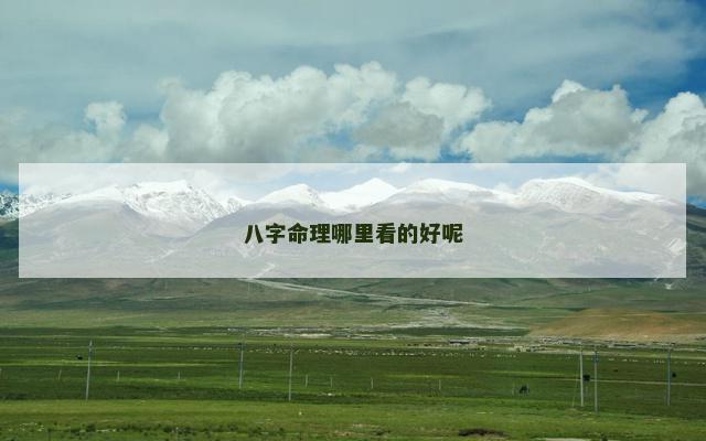 八字命理哪里看的好呢