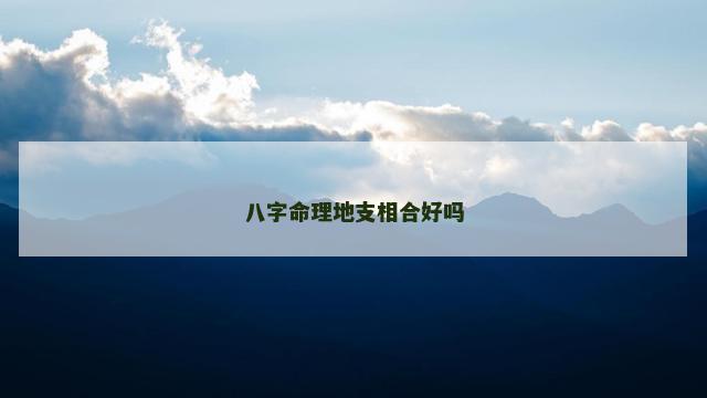 八字命理地支相合好吗
