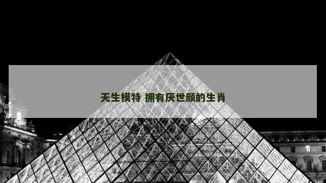 天生模特 拥有厌世颜的生肖