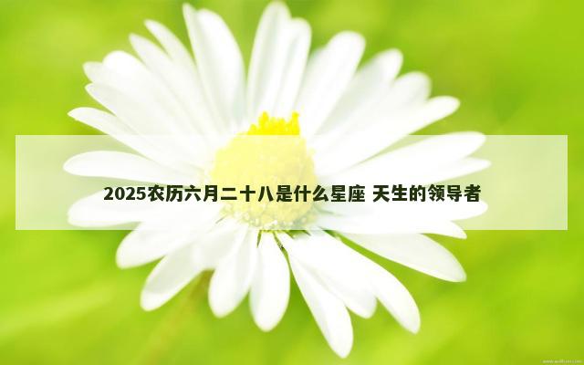 2025农历六月二十八是什么星座 天生的领导者