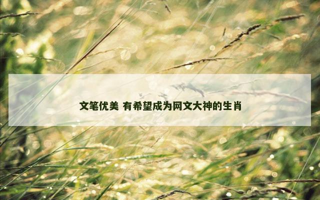 文笔优美 有希望成为网文大神的生肖