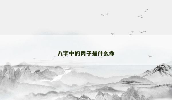八字中的丙子是什么命