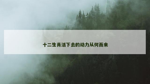十二生肖活下去的动力从何而来