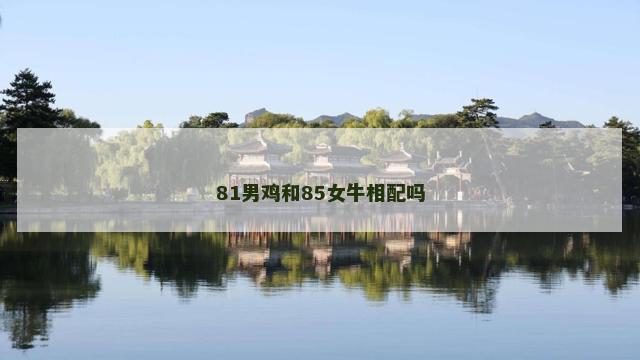 81男鸡和85女牛相配吗