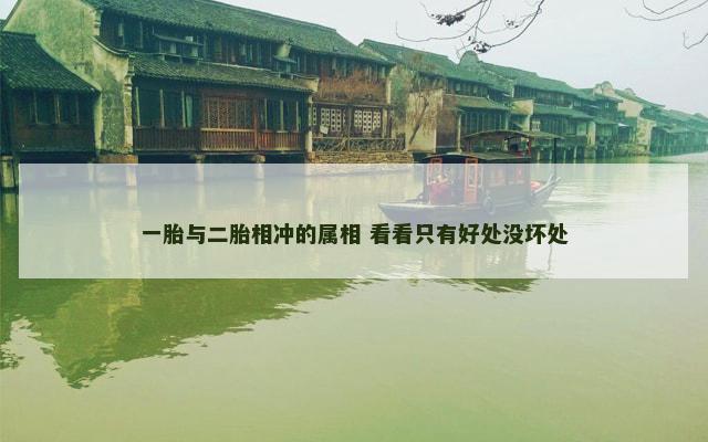 一胎与二胎相冲的属相 看看只有好处没坏处