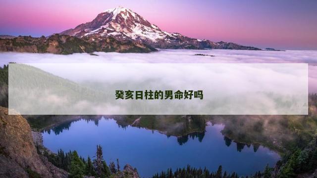 癸亥日柱的男命好吗