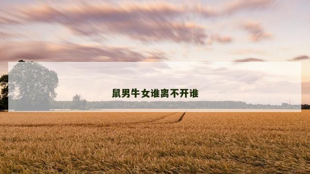 鼠男牛女谁离不开谁