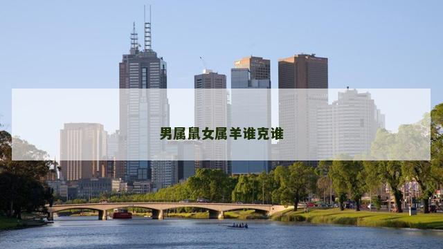 男属鼠女属羊谁克谁
