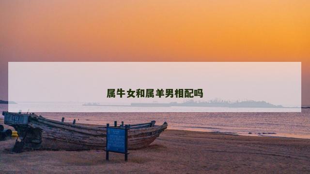 属牛女和属羊男相配吗
