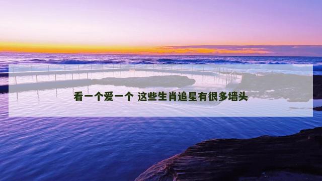 看一个爱一个 这些生肖追星有很多墙头