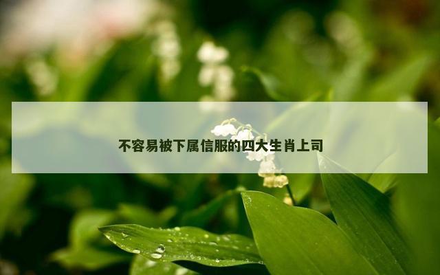 不容易被下属信服的四大生肖上司