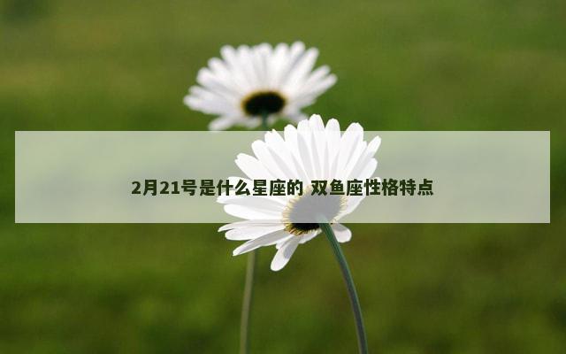 2月21号是什么星座的 双鱼座性格特点