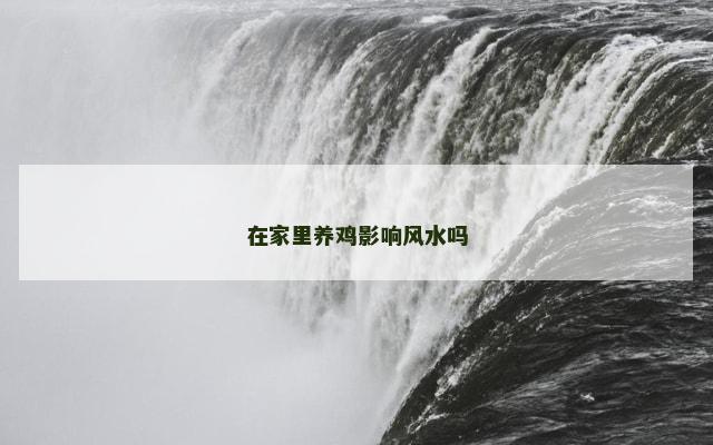 在家里养鸡影响风水吗