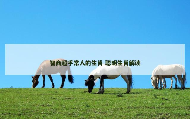 智商超乎常人的生肖 聪明生肖解读