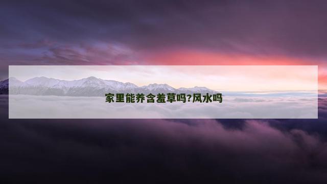 家里能养含羞草吗?风水吗