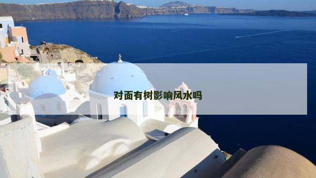 对面有树影响风水吗