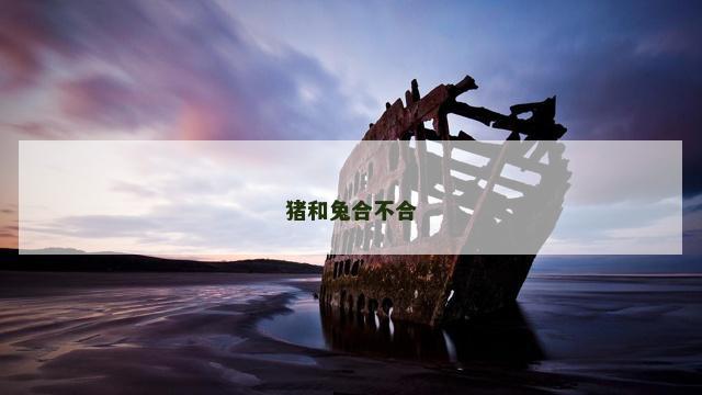 猪和兔合不合
